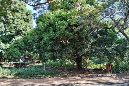 Terreno - Venta - Capiata, Central, Paraguay