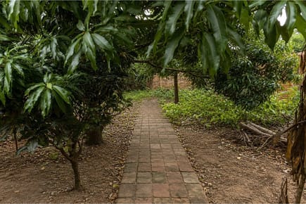 Terreno-Venta-Incas entre Pariri y Bartolome de las casas