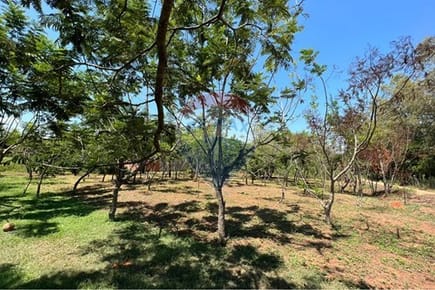 TERRENO EN VENTA, ATYRA
