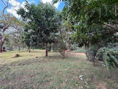 VENDO TERRENO EN YPANE- BARRIO CHACO