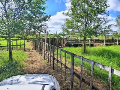 EN VENTA: ESTANCIA MULTIPROPÓSITO 600 HA – EN SAN PEDRO