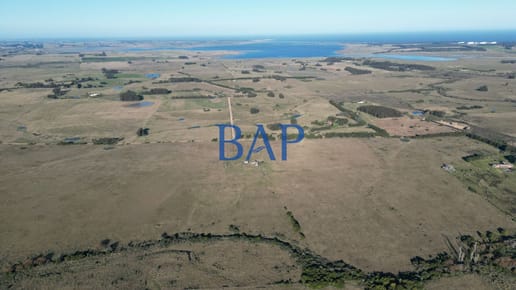 Campo 100 ha Turístico - Ganadero