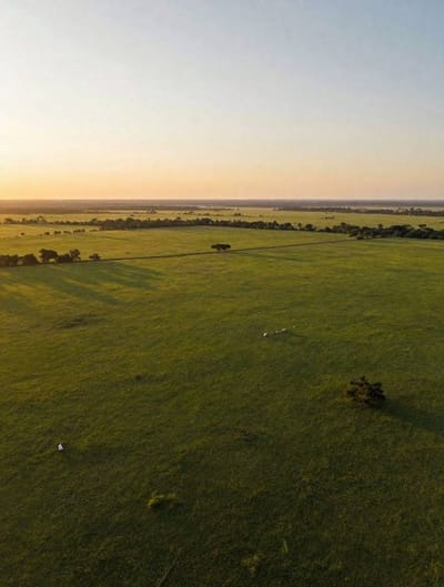 VENDO ESTANCIA EN JOSÉ FALCÓN
