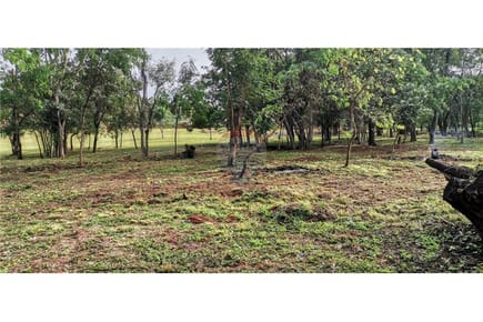 TERRENOS CON FINANCIAMIENTO PROPIO EN VILLA ELISA