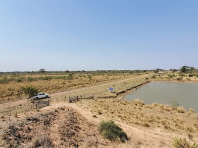 Estancia Ganadera Formada En Venta – Zona Montelindo, Chaco (8.600 Ha)