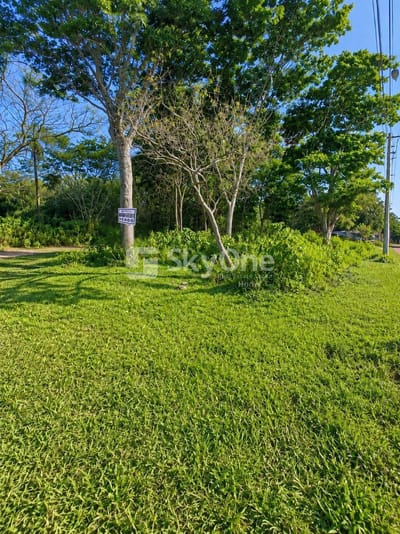 VENDO TERRENO EN CAPIATA POSTA YBYCUA
