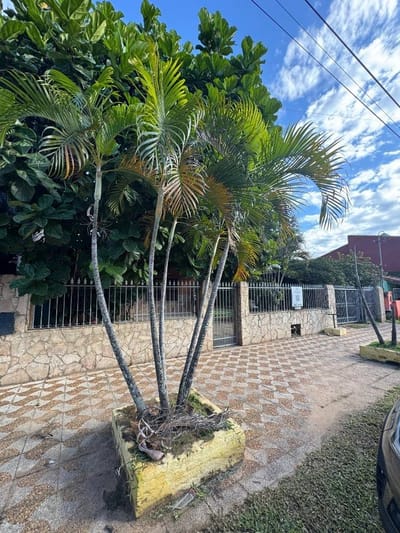 VENDO CASA en el centro de Mariano Roque Alonso, a pasos de la Ruta Transchaco