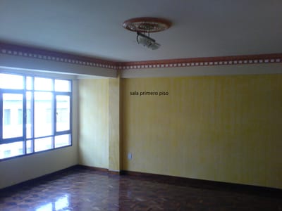 vendo edificio centrico y zona comercial