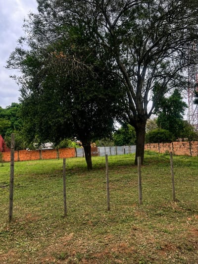 VENDO 2 Terrenos en Ypané