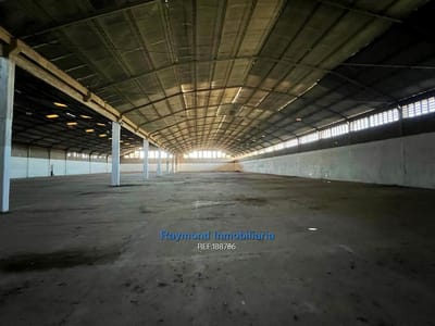 Alquiler depósito de 4000m2 Ruta 1 km 26 a 20km del puerto