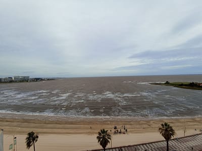 Venta Apartamento Penthouse Pocitos 3 Dormitorios 5 Baños Terrazas Barbacoa Servicio Garaje
