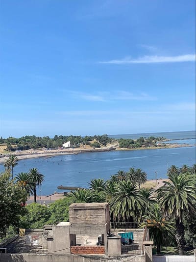 Venta Apartamento con Renta Parque Rodó Vista Monoambiente 1 Baño