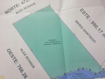 ALQUILO 30 HECTÁREAS DE TERRENO AGRÍCOLA