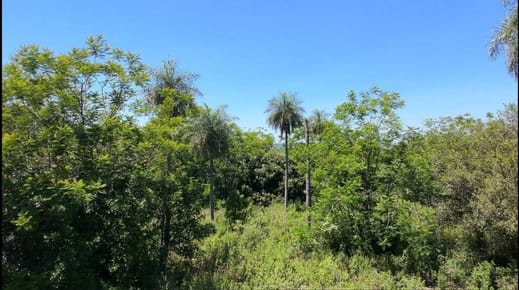 Terreno con hermosa vista