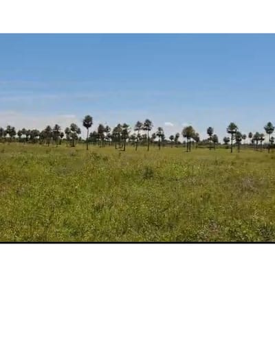 VENDO TERRENO EN VILLA HAYES