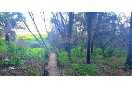 Terreno Alquiler Mariano Roque Alonso zona Puerto Seguro 