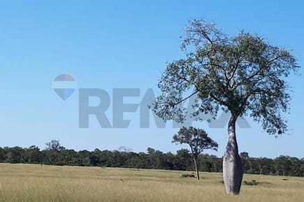 Estancia/Campo de 20.057 Hectareas en venta
