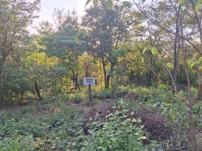 Vendo hermoso terreno en Ciervo Cua