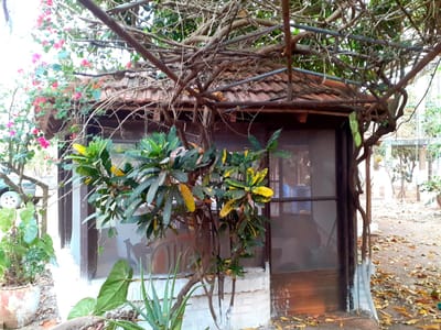 QUINTA CHANCHERIA EN VENTA