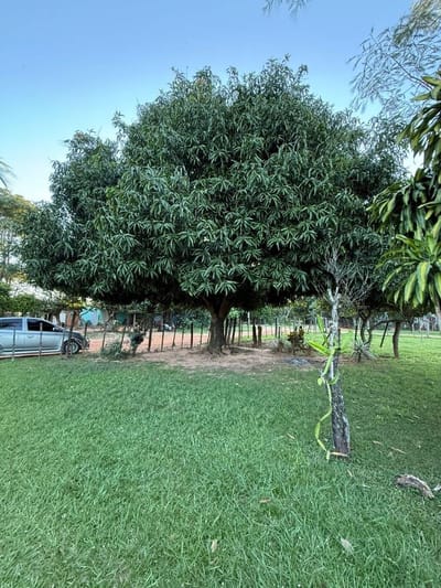 Terreno en venta en Caraguatay- Barrio San Miguel