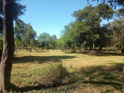 Venta de Terreno en San Bernardino, Cordillera