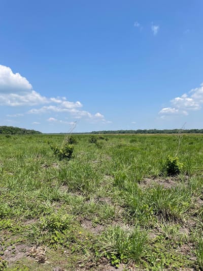 En Venta | Propiedad Rural en Guarayos