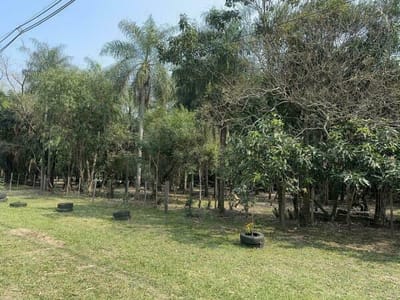 EN VENTA TERRENO EN ESQUINA DE 67,236 M2 EN BARRIO COLON SAN BERNARDINO