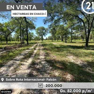 En venta terreno de 20 hectáreas en Chaco’i 