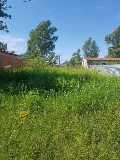 TERRENO -ISLA AVEIRO LIMPIO