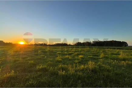 Estancia/Campo - Venta - Yuty, Paraguay