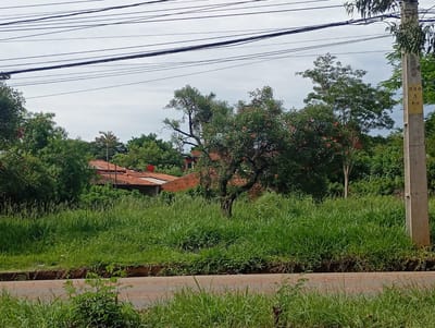 VENDO TERRENO SOBRE AVENIDA BRITES BORGES 