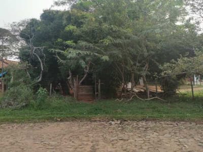 En Venta, Terreno En Mariano Roque Alonso
