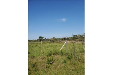 EN VENTA AMPLIO TERRENO DE 600 M² EN SAN BERNARDINO, 
