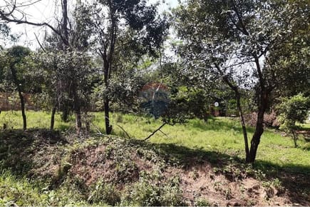 VENDO 3 TERRENO EN LUQUE junto o separados