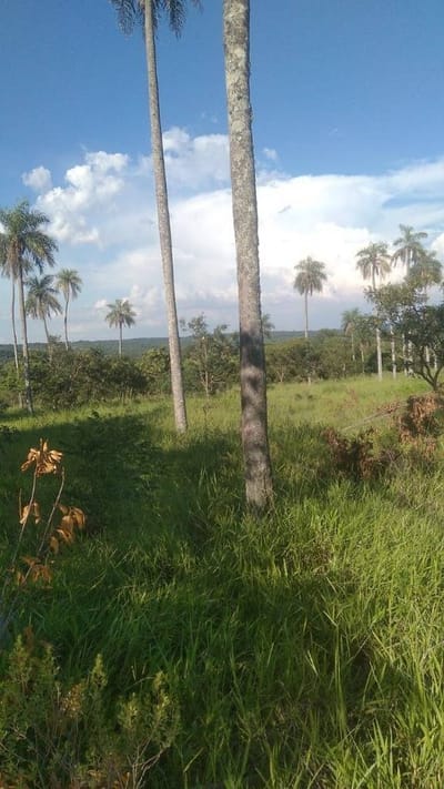 VENDO TERRENO DE 5hs EN PARAGUARI