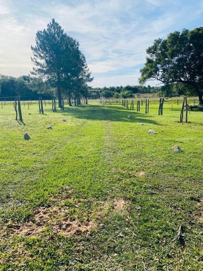 EN VENTA - 110 HECTAREAS SOBRE RUTA ACAHAY - LA COLMENA