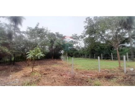 Terreno Ideal en Ñemby: ¡Invierte en Tu Futuro!