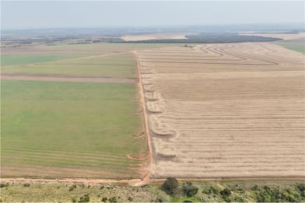Finca Agrícola-Venta-Ruta Departamental 006, Capiibary, San Pedro
