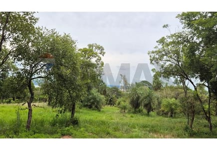 Terreno - Venta - San Bernardino, Cordillera, Paraguay