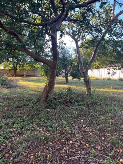 VENDO TERRENO HERNANDARIAS 