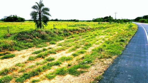 Inmueble # 332 TERRENO SOBRE CARRETERA A OKINAWA