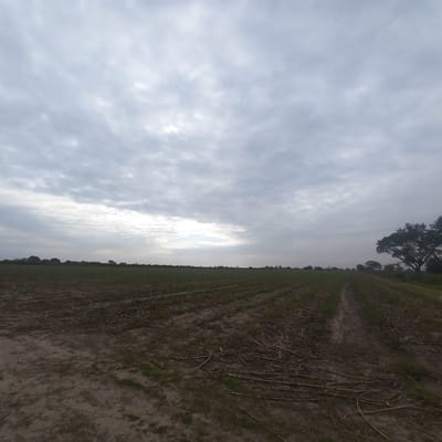 Terreno En Venta Para Agricultura O Ganadería. Montero