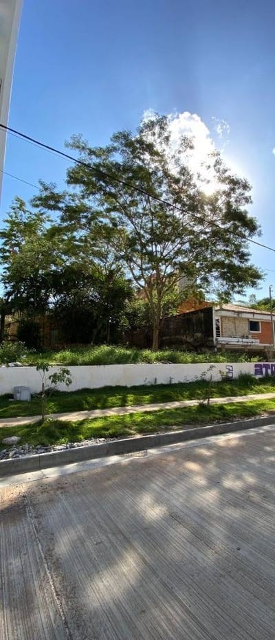 Terreno en Venta sobre la Avda. Molas Lopez