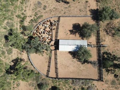 En Venta hermoso campo ganadero - Chaco, Dpto Boquerón, zona Tte Enciso