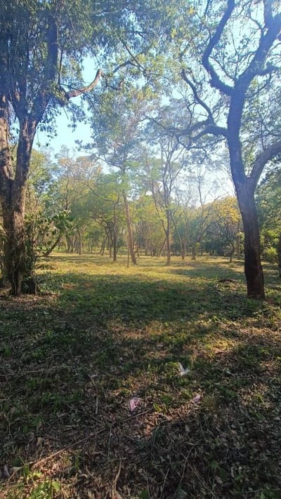 VENDO TERRENO EN SAN BERNARDINO