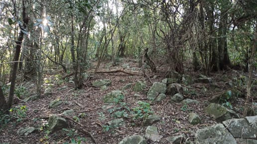 VENDO TERRENO EN SAN BERNARDINO IDEAL PARA INVERSIÓN 