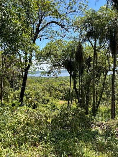 Venta de Terreno en San Bernardino, Cordillera ID:29191