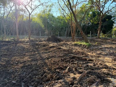 Terreno 243 m² en Tarumandy Pora | Luque
