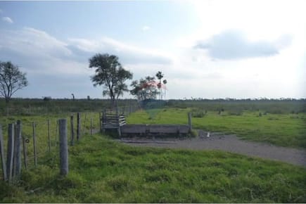 ESTANCIA DE 493 HECTAREAS EN PTE HAYES