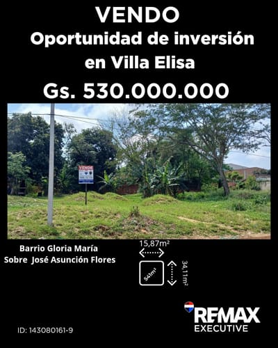 Vendo Terreno En Villa Elisa 